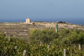 Wine of Malta