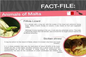 The animals of Malta - a fact file