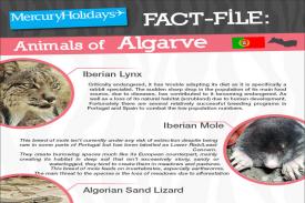 /algarve-holidays/