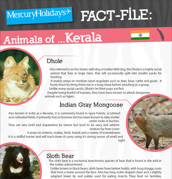 Animals of Kerala fact file