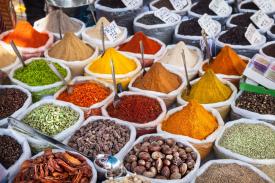 The land of spices