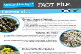 Fact file - the flowers of Tenerife