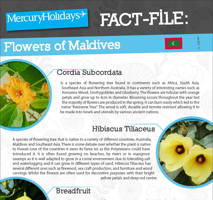 Flowers of the Maldives fact file 