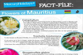 Flowers of Mauritius - a fact file