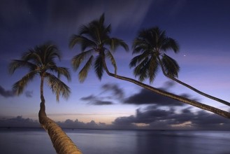 Barbados image