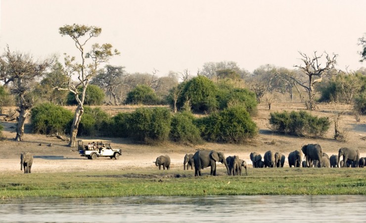 "Game Drive Along The Chobe River"