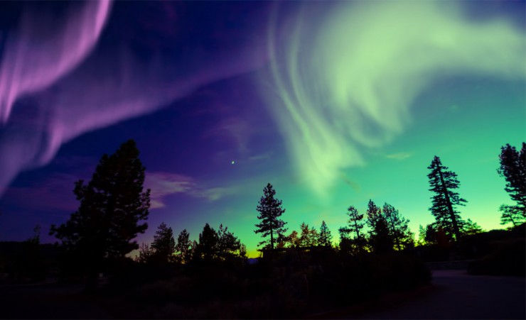 "The Northern Lights"