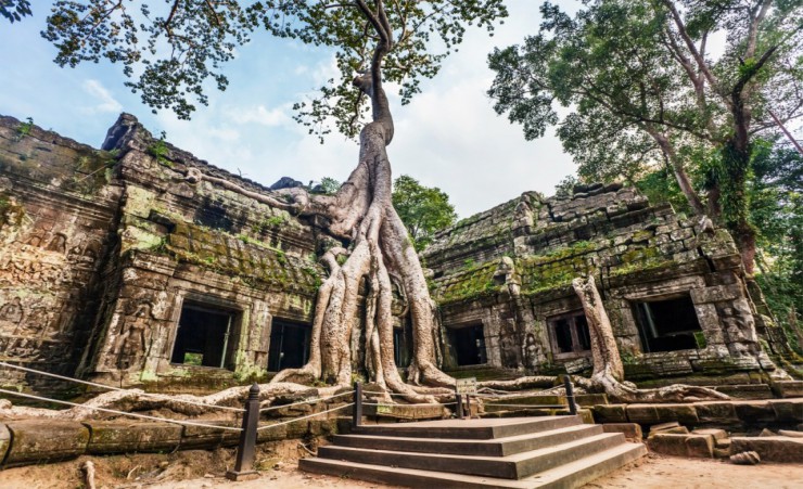 "Ta Prohm Temple Angkor"