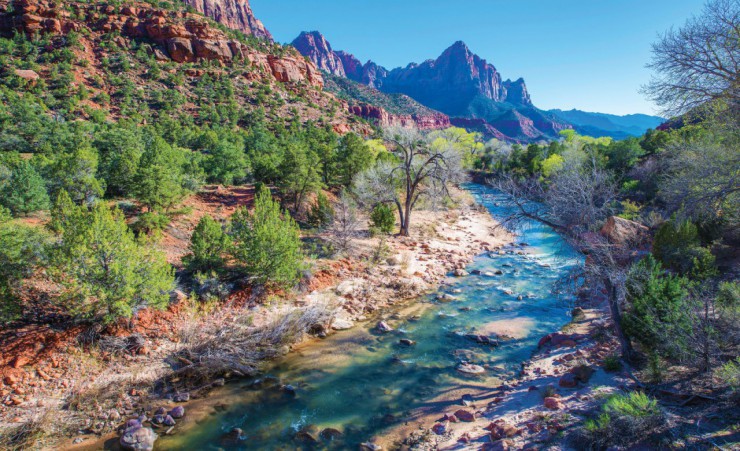 "Spring In Zion National Park"
