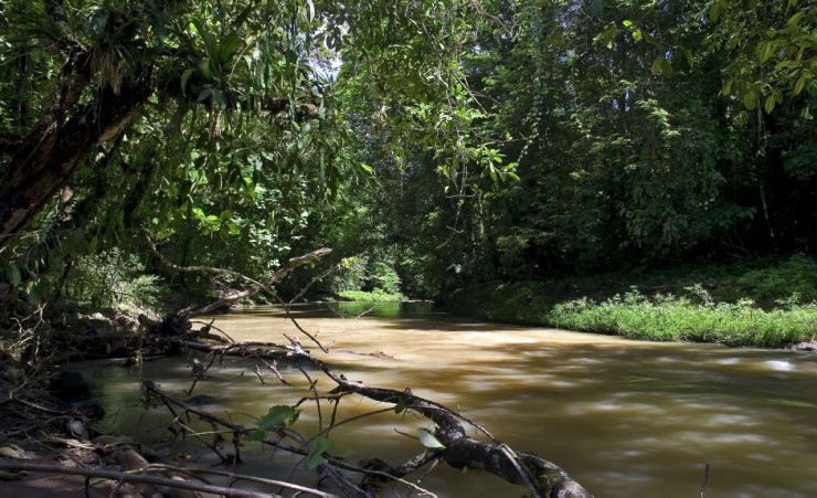 "Sarapiqui River"