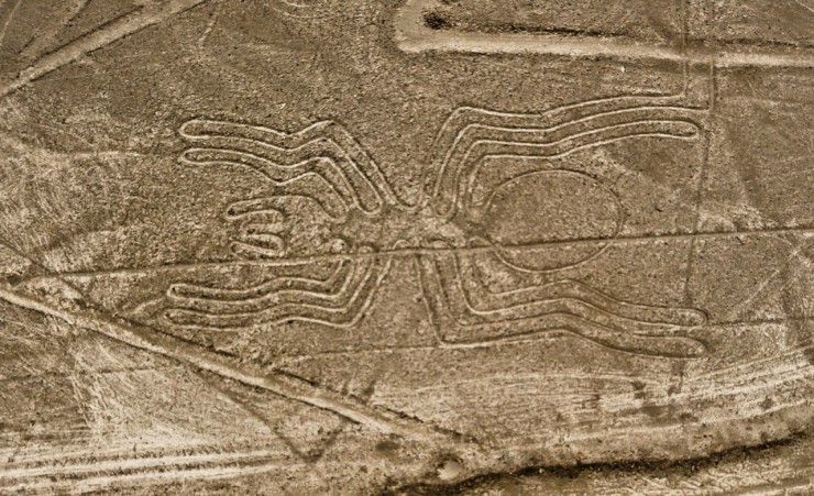 "Nazca Lines Spider"