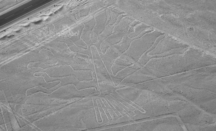 "Nazca Lines Tree"