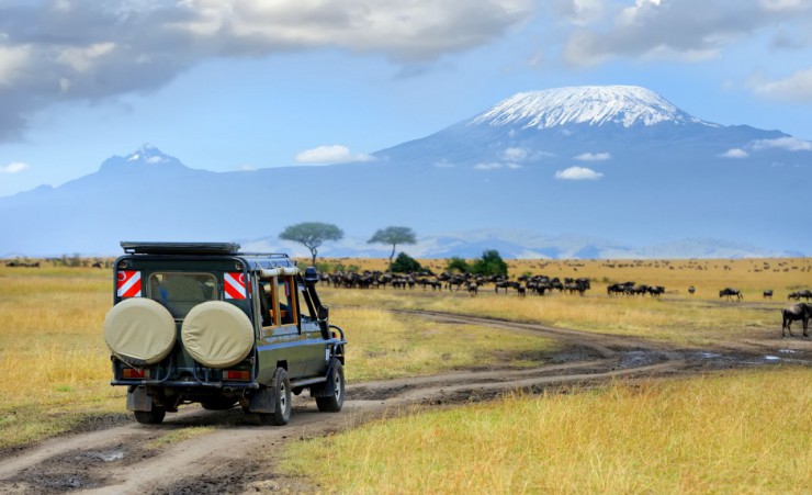 "Masai Mara Safari Game Drive"