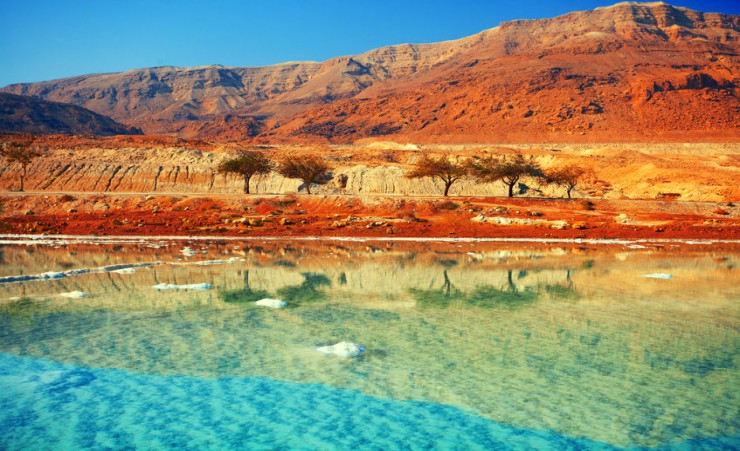 "Dead Sea Coast"