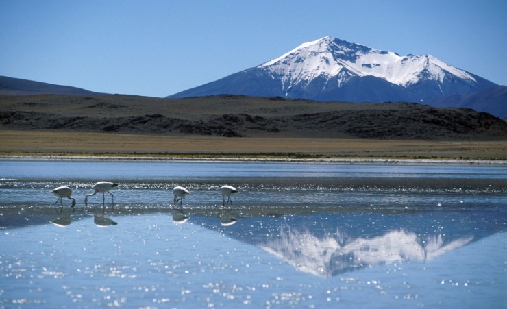 "Altiplano, Bolivia"