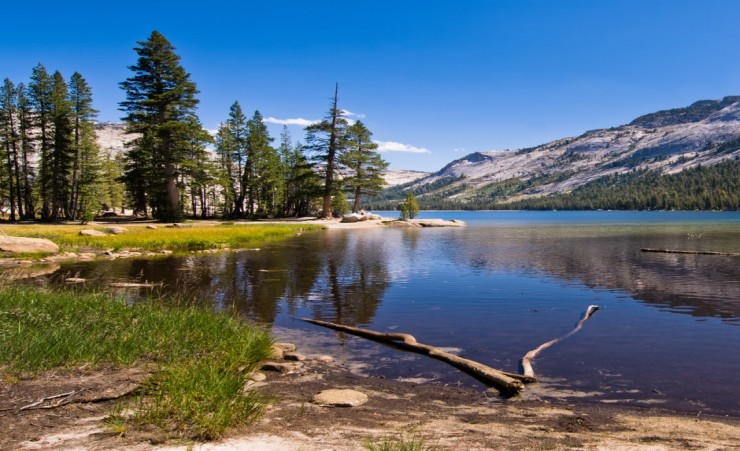 "Lake Tenaya In Yosemite National Park"