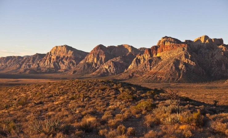 "Mojave Desert"