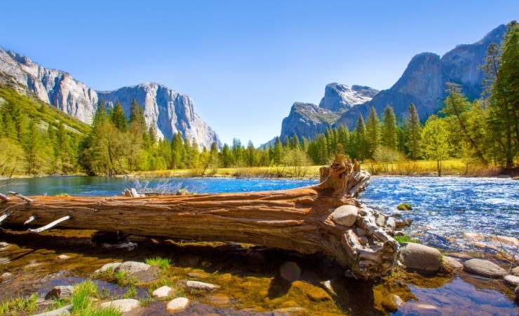 "Yosemite Merced River El Capitan And Half Dome In California"