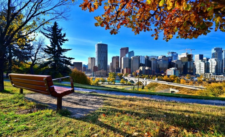 "Park Overlooking Calgary"